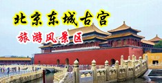 好粗好爽流水了小视频中国北京-东城古宫旅游风景区